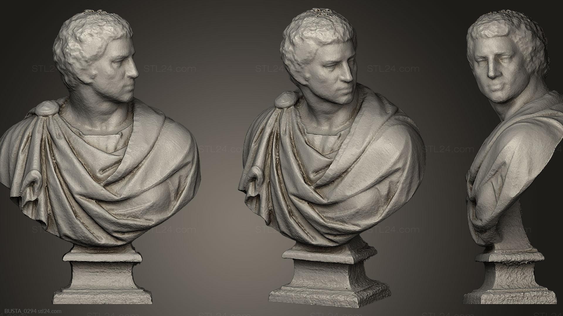 Бюсты и головы античные и исторические (Микеланджело, BUSTA_0294) 3D модель для ЧПУ станка